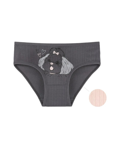 Panties for Girls' (Assorted) 10 pcs/pack. Donella 4123PB3 — direct Turkish factory supply