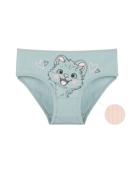Panties for Girls' (Assorted) 10 pcs/pack. Donella 4123PB3 — wholesale from Turkey