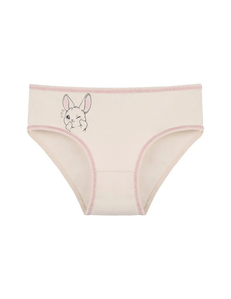 Panties for Girls' (Assorted) 10 pcs/pack. Donella 4171PB278 — factory-direct from Turkey