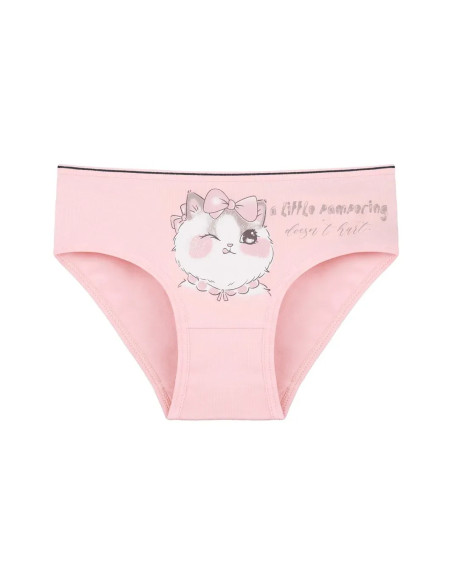 Panties for Girls' (Assorted) 10 pcs/pack. Donella 4171XB21-VO — Istanbul wholesale supplier