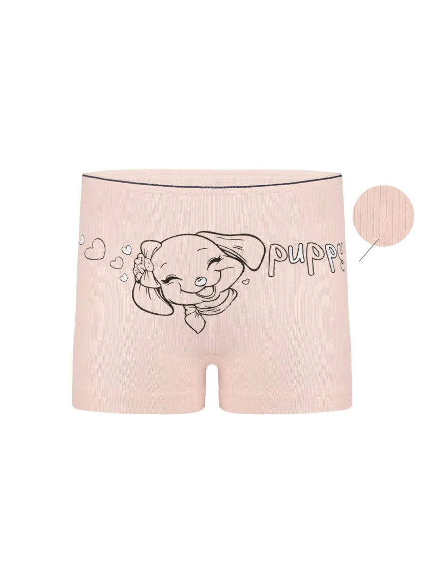 Panties for Girls' (Assorted) 10 pcs/pack. Donella 4223PB2 — Turkish textile wholesale