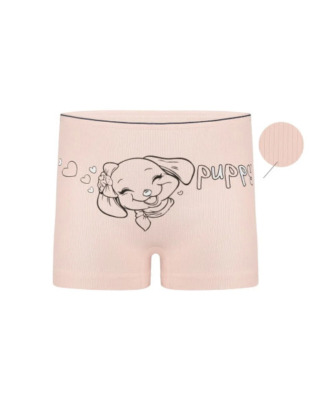Panties for Girls' (Assorted) 10 pcs/pack. Donella 4223PB2 — Turkish textile wholesale