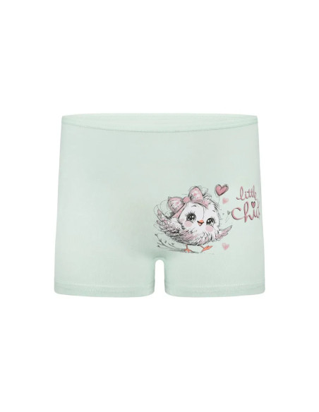Panties for Girls' (Assorted) 10 pcs/pack. Donella 4271PB205 — Istanbul wholesale supplier