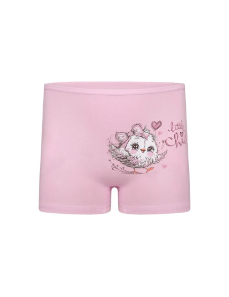 Panties for Girls' (Assorted) 10 pcs/pack. Donella 4271PB205 — wholesale for boutiques