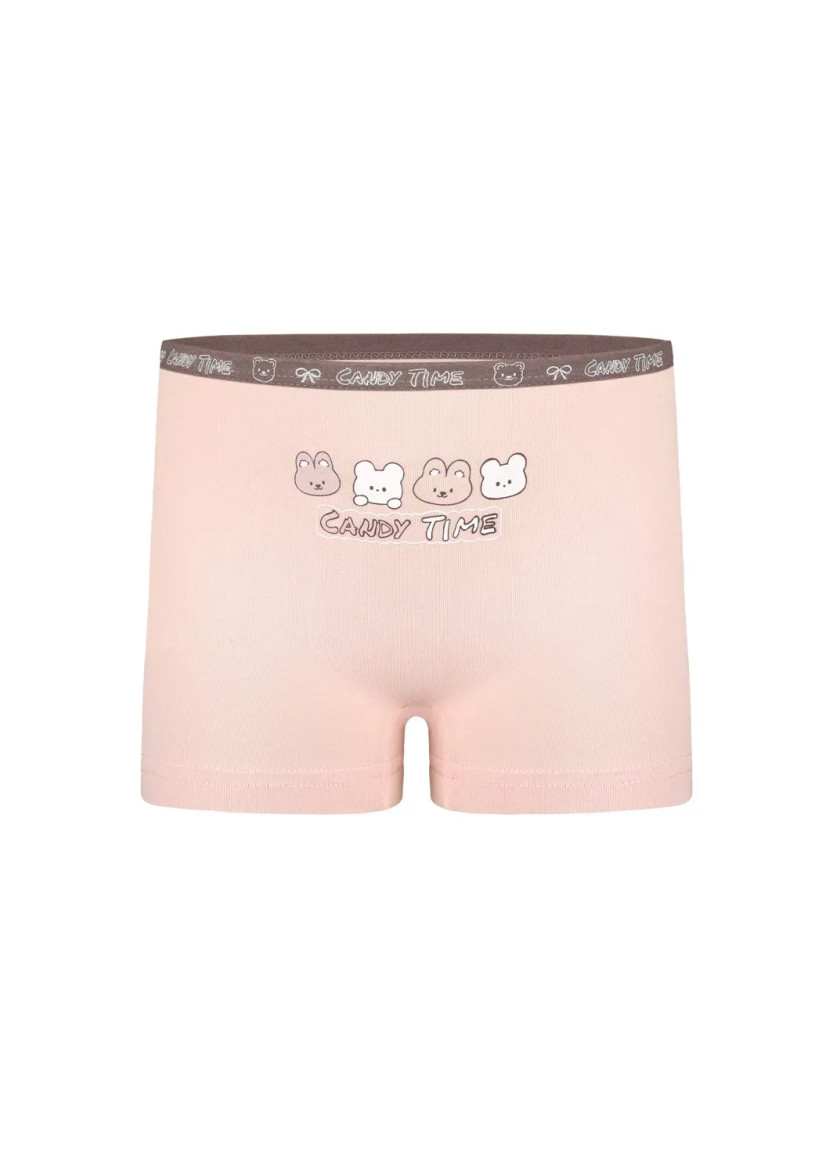 Panties for Girls' (Assorted) 10 pcs/pack. Donella 4271PB280 — wholesale for boutiques