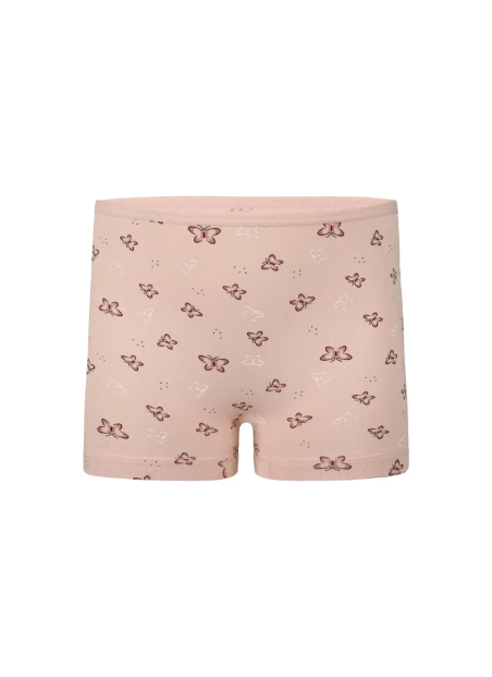 Panties for Girls' (Assorted) 10 pcs/pack. Donella 4281B52 — wholesale from Turkey