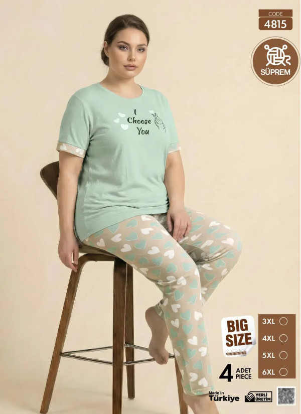 Women's Pajamas Plus-Size with Trousers (3XL+4XL+5XL+6XL) Pijamo 4815 — Turkey wholesale collection