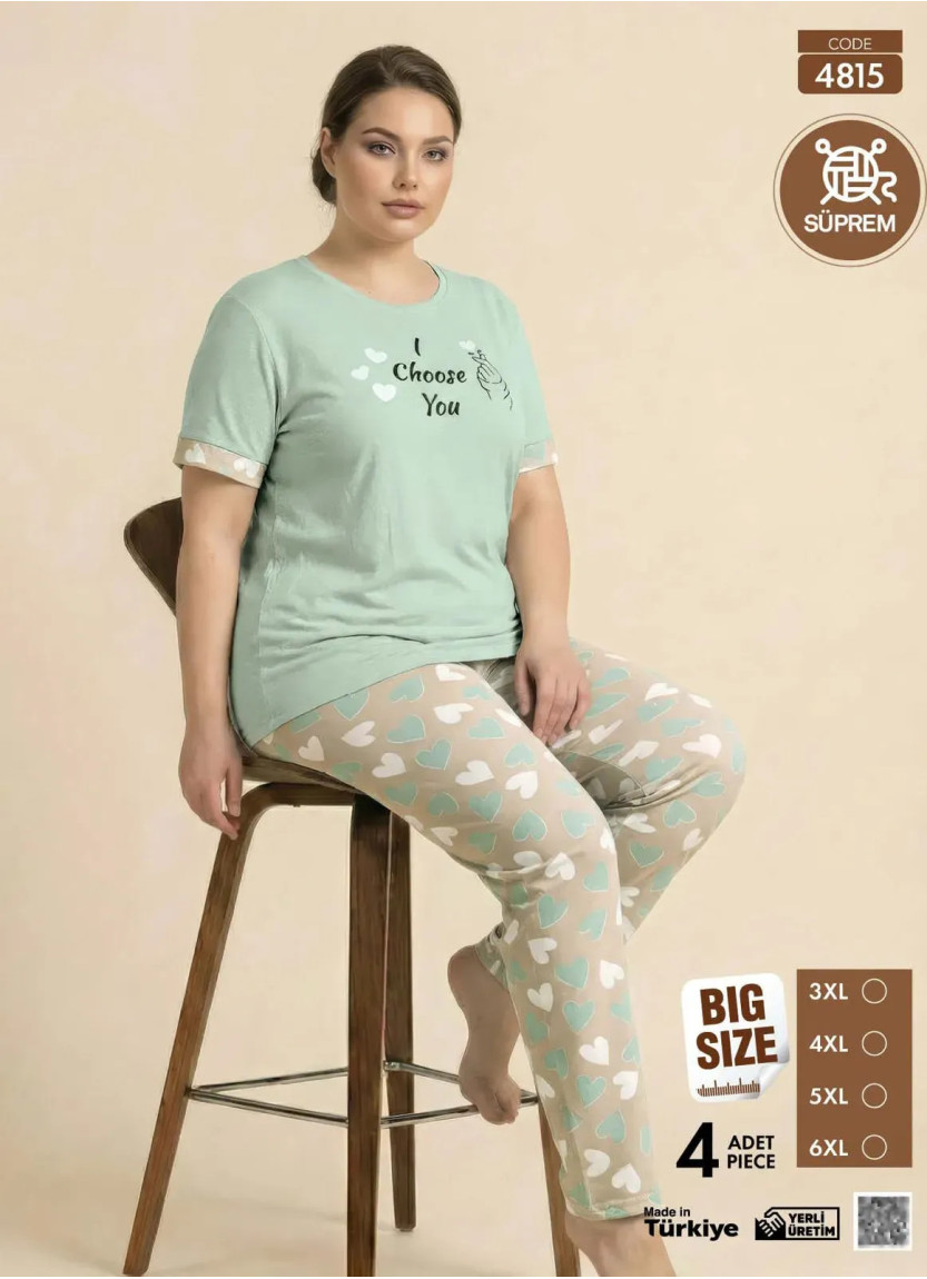 Women's Pajamas Plus-Size with Trousers (3XL+4XL+5XL+6XL) Pijamo 4815 — Turkey wholesale collection