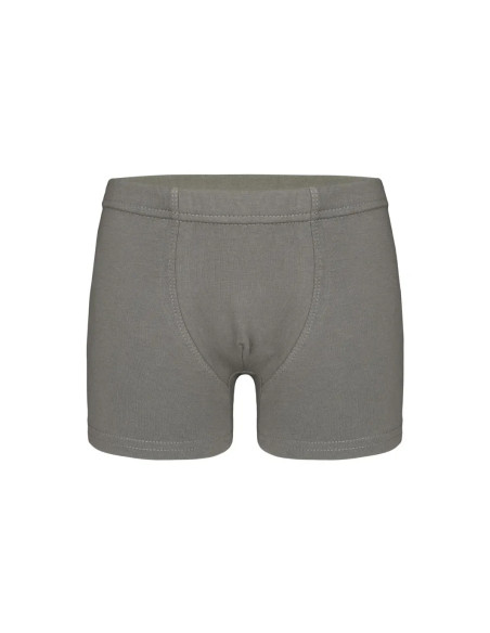 Трусы Боксеры для Мальчиков Boxer (Ассорти) 10 шт/уп Donella 7571PD5 — купить оптом со Стамбула