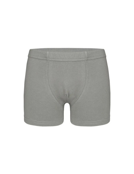 Трусы Боксеры для Мальчиков Boxer (Ассорти) 10 шт/уп Donella 7571PD5 — оптом от турецкой фабрики