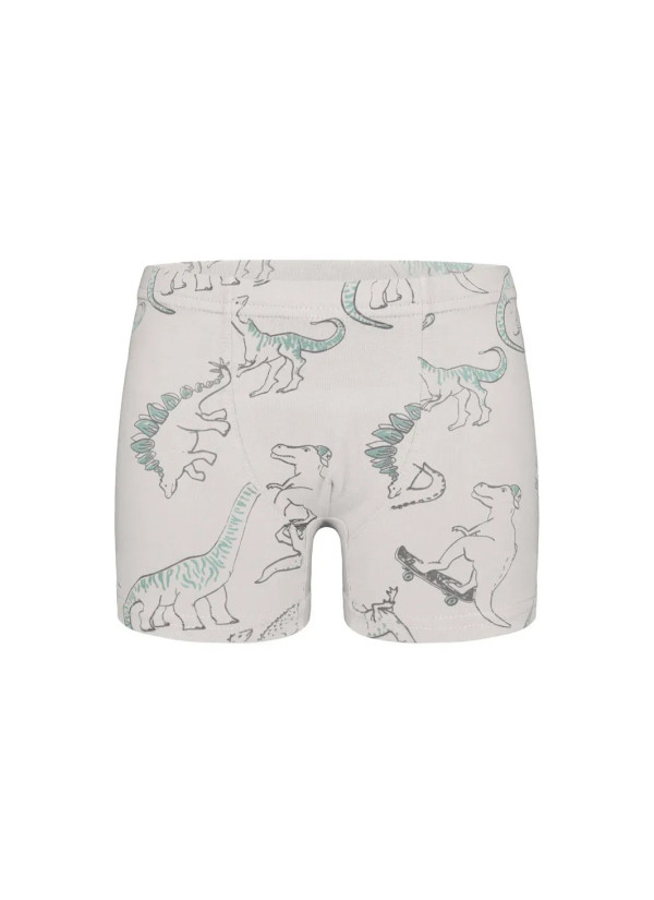 Трусы Боксеры для Мальчиков Boxer (Ассорти) 10 шт/уп Donella 758135 — оптом для магазинов и бутиков 2