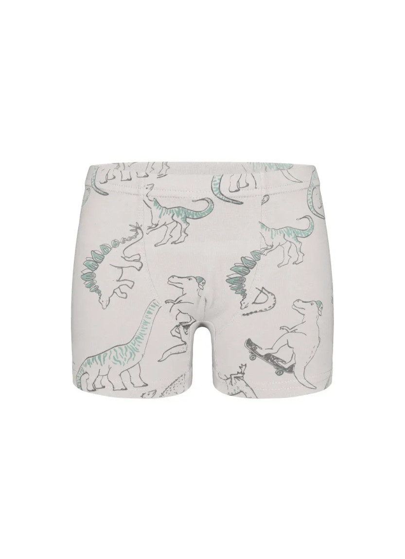 Трусы Боксеры для Мальчиков Boxer (Ассорти) 10 шт/уп Donella 758135 — купить оптом из Турции