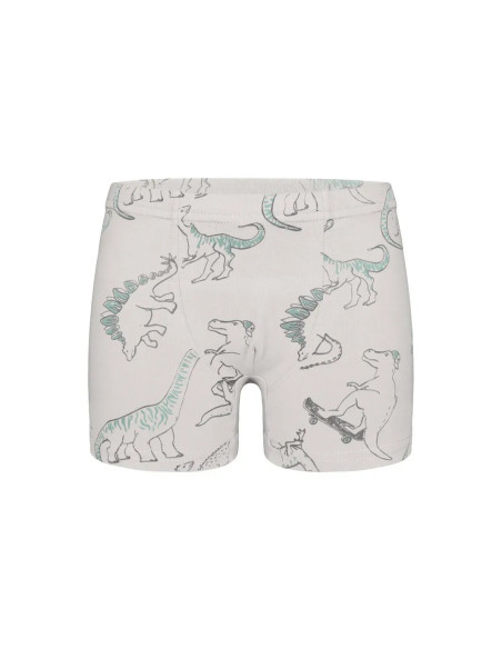 Трусы Боксеры для Мальчиков Boxer (Ассорти) 10 шт/уп Donella 758135 — купить оптом из Турции