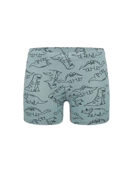 Трусы Боксеры для Мальчиков Boxer (Ассорти) 10 шт/уп Donella 758135 — оптовая поставка из Турции