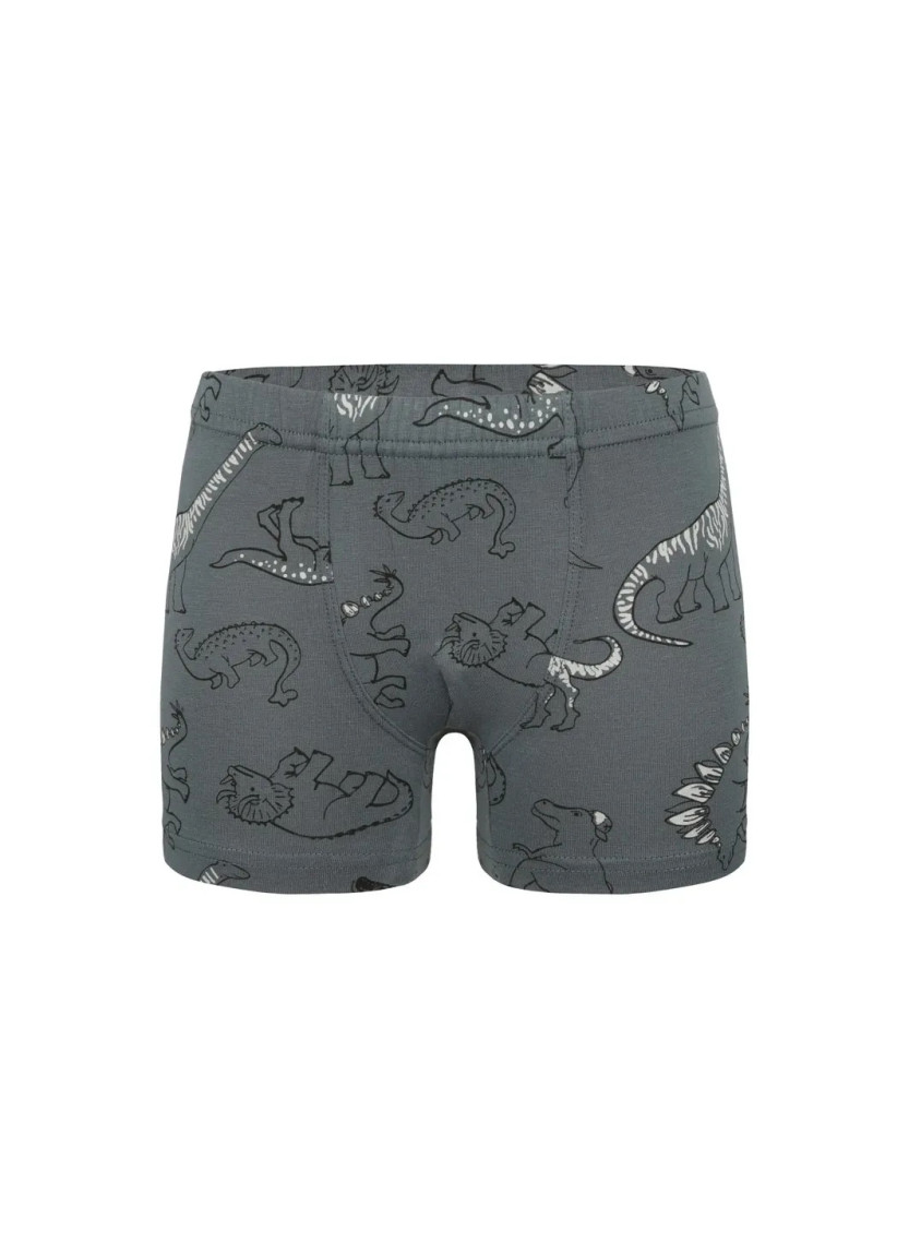 Трусы Боксеры для Мальчиков Boxer (Ассорти) 10 шт/уп Donella 758135 — турецкий текстиль оптом