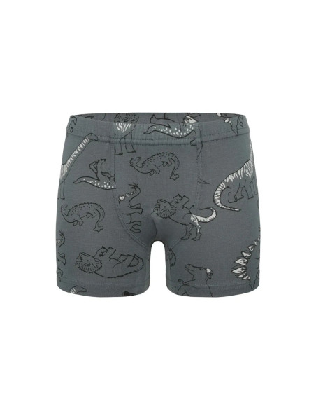 Трусы Боксеры для Мальчиков Boxer (Ассорти) 10 шт/уп Donella 758135 — турецкий текстиль оптом