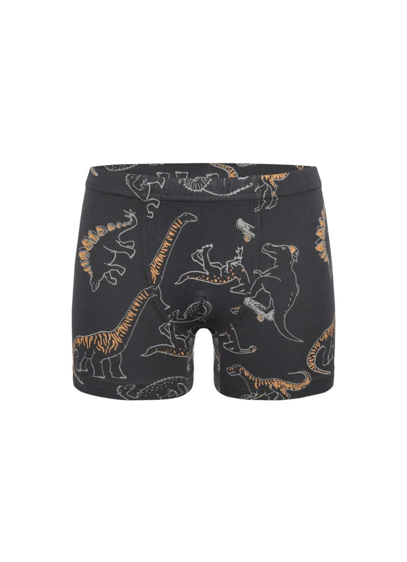 Panties Boxers for Boys' Boxer (Assorted) 10 pcs/pack Donella 758135 — direct Turkish factory supply