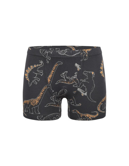 Трусы Боксеры для Мальчиков Boxer (Ассорти) 10 шт/уп Donella 758135 — оптом для магазинов и бутиков
