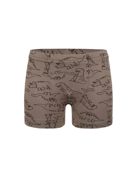 Трусы Боксеры для Мальчиков Boxer (Ассорти) 10 шт/уп Donella 758135 — купить оптом из Турции