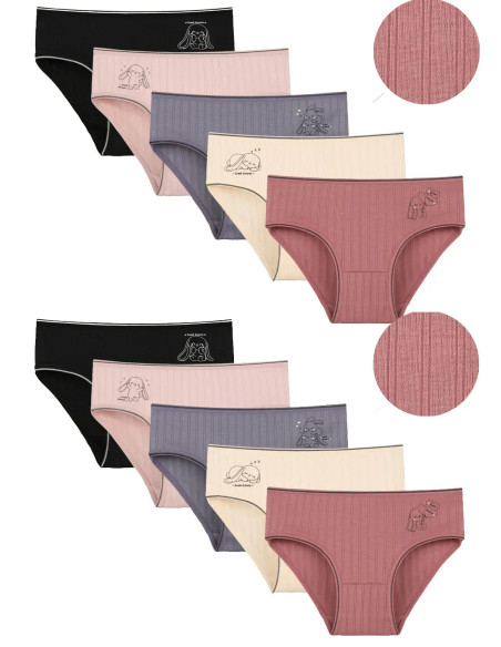 Panties for Girls' (Assorted) 10 pcs/pack. Donella 4126PB1 — Turkey wholesale collection