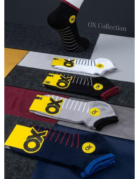 Носки Хлопковые Мужские 12 Пар/Уп. (40-44) (Ассорти) OX OX ErCotKsa 250C01 — турецкий текстиль оптом