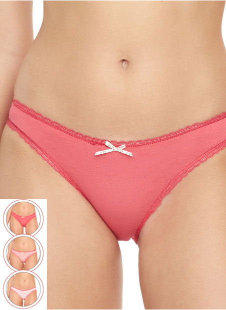 Women’s Briefs, 3 Pcs U.S. Polo Assn. 66325