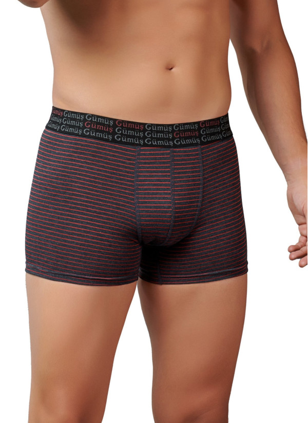 Men's Striped Stretch Boxer Briefs Anthracite (Individual Packaging) Gumus 3114
