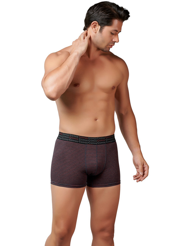 Men's Striped Stretch Boxer Briefs Anthracite (Individual Packaging) Gumus 3114 2