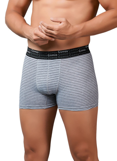 Men's Striped Stretch Boxer Briefs Grey (Individual Packaging) Gumus 3114