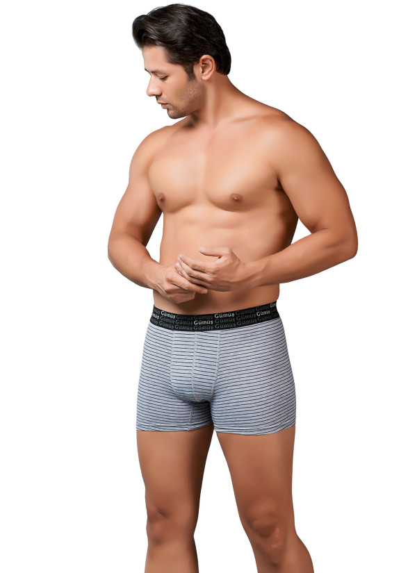 Men's Striped Stretch Boxer Briefs Grey (Individual Packaging) Gumus 3114 2