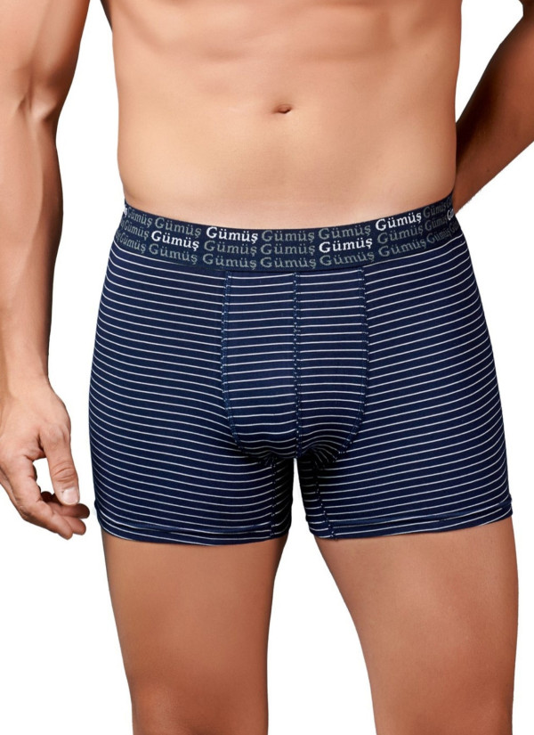 Men's Striped Stretch Boxer Briefs Navy Blue (Individual Packaging) Gumus 3114