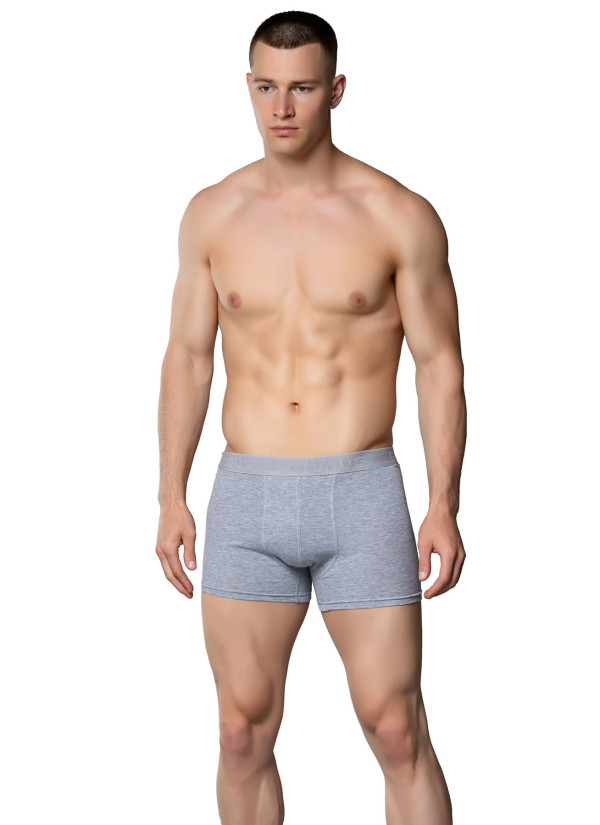 Men's Stretch Boxer Briefs Grey (Individual Packaging) Gumus 4018 2