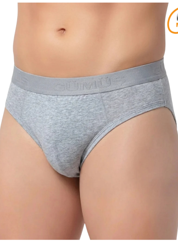 Men's Modal Waistband Briefs Grey (Individual Packaging) Gumus 7008