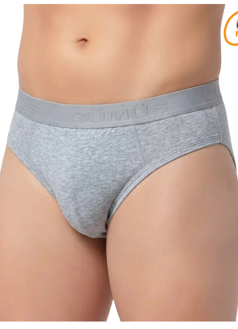 Men's Modal Waistband Briefs Grey (Individual Packaging) Gumus 7008