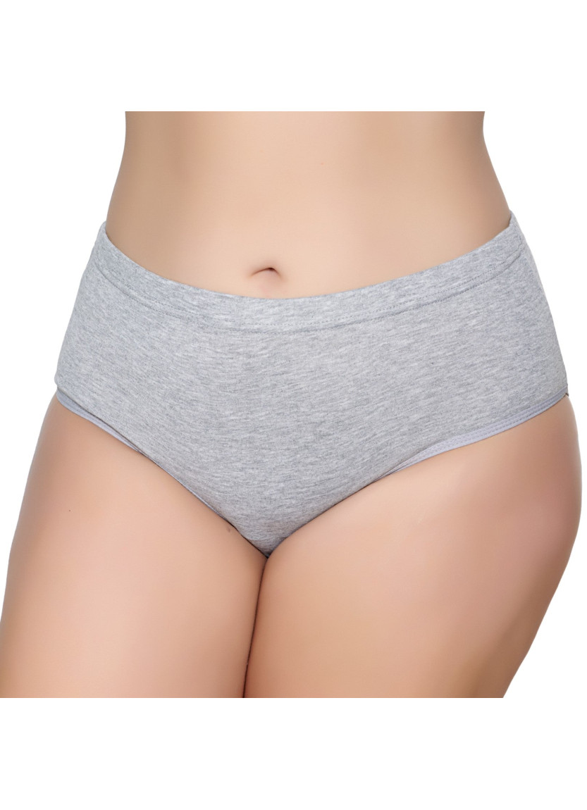 Women's Briefs Gumus 3041 Grey